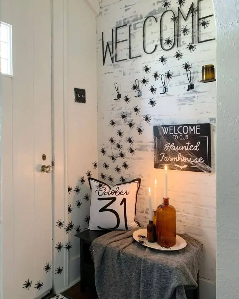 Crawling Spider Entry Display