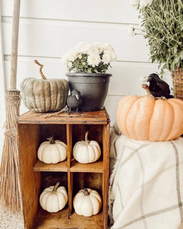 Crows and Pumpkins Display