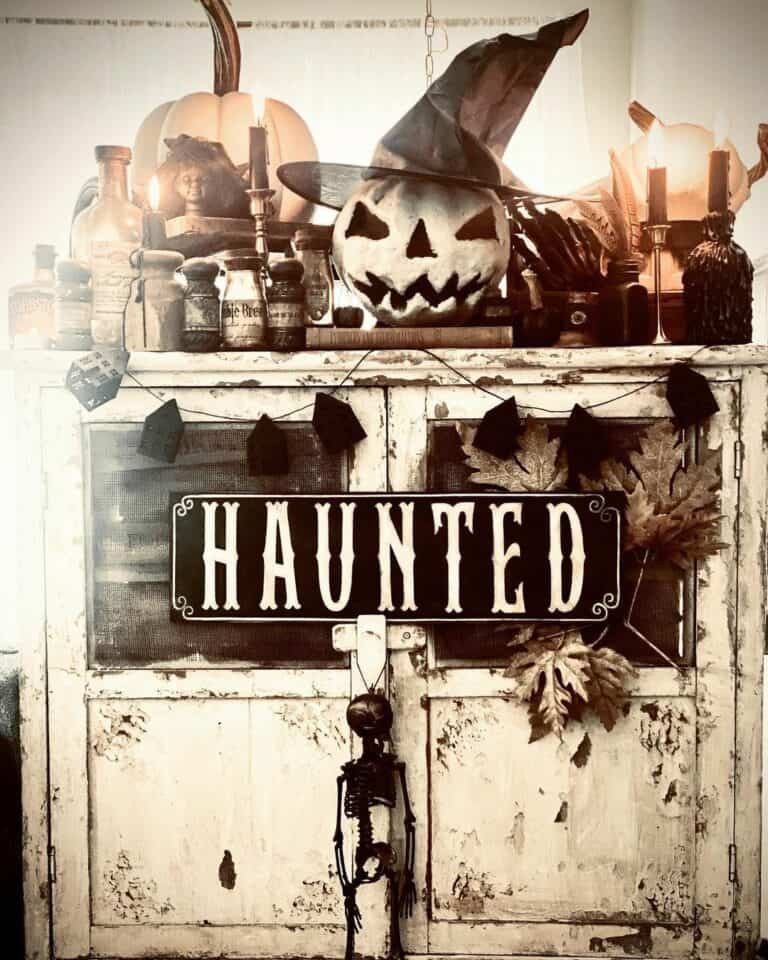 Haunted Cabinet Display