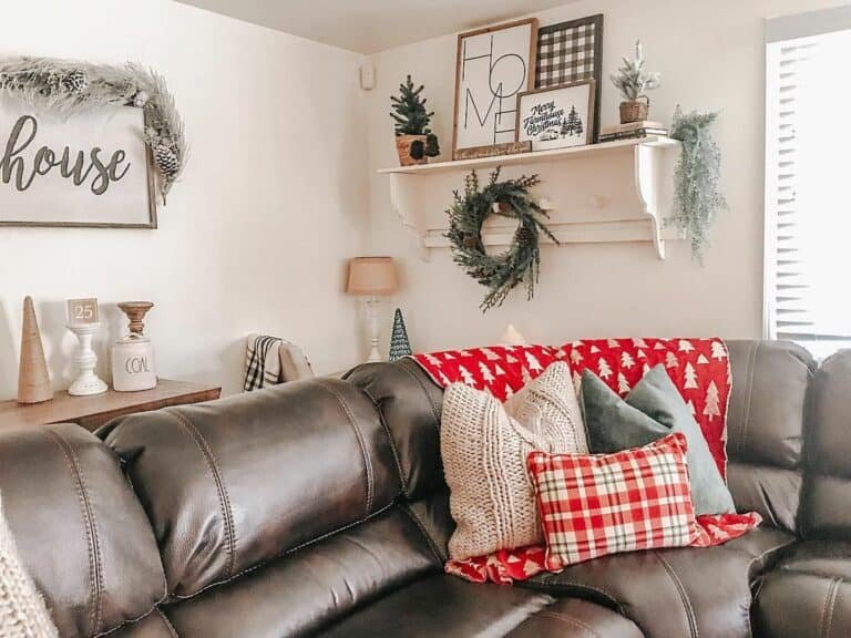 Holiday Throw Pillows