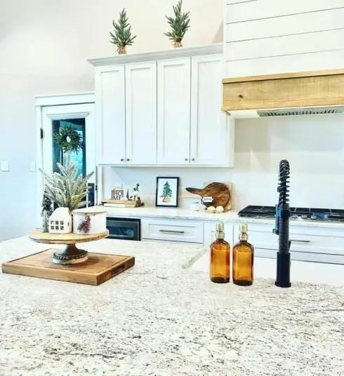 Neutral Kitchen Counters