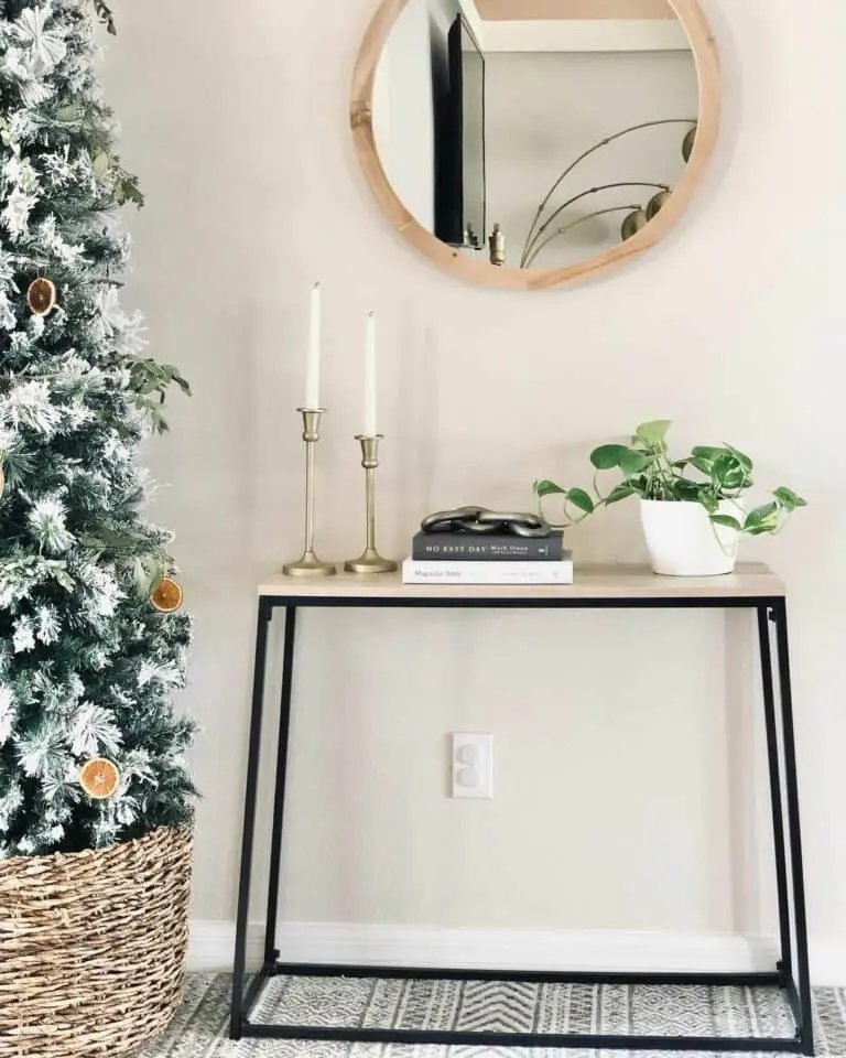 Organic Plant Display