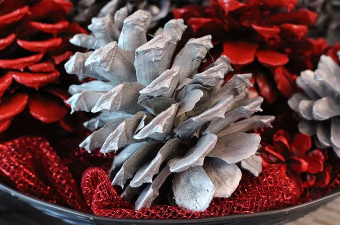 Painted Pinecone Decorations