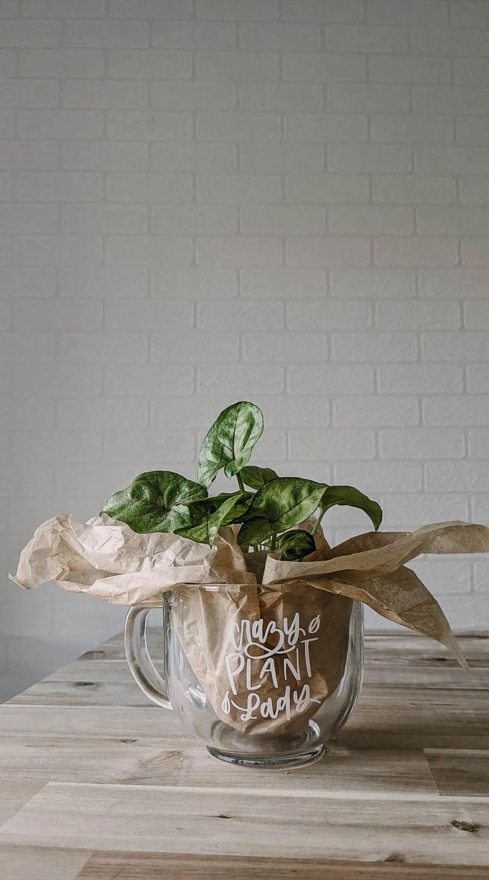 Personalized Plant Mugs