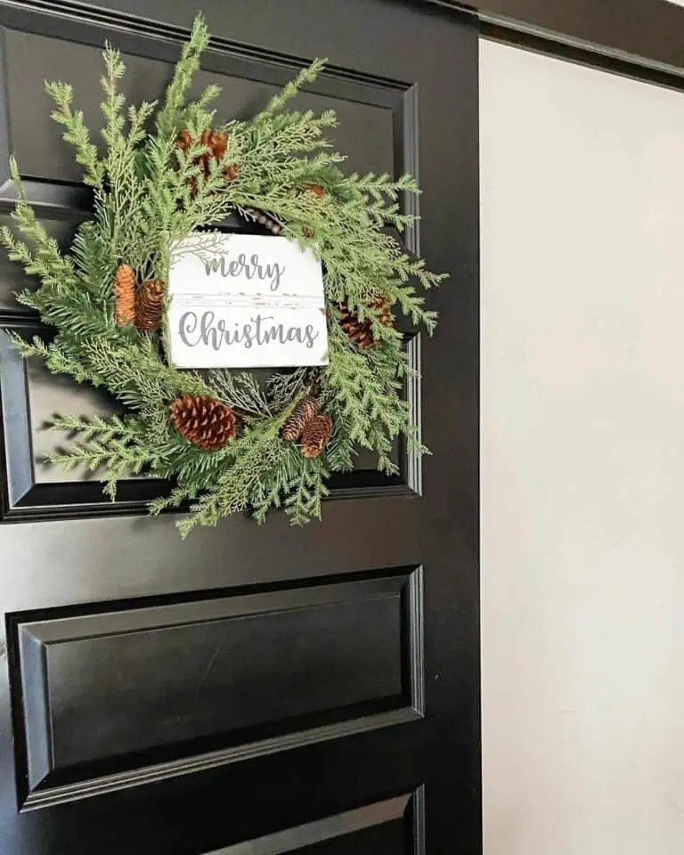Pinecone Barn Door