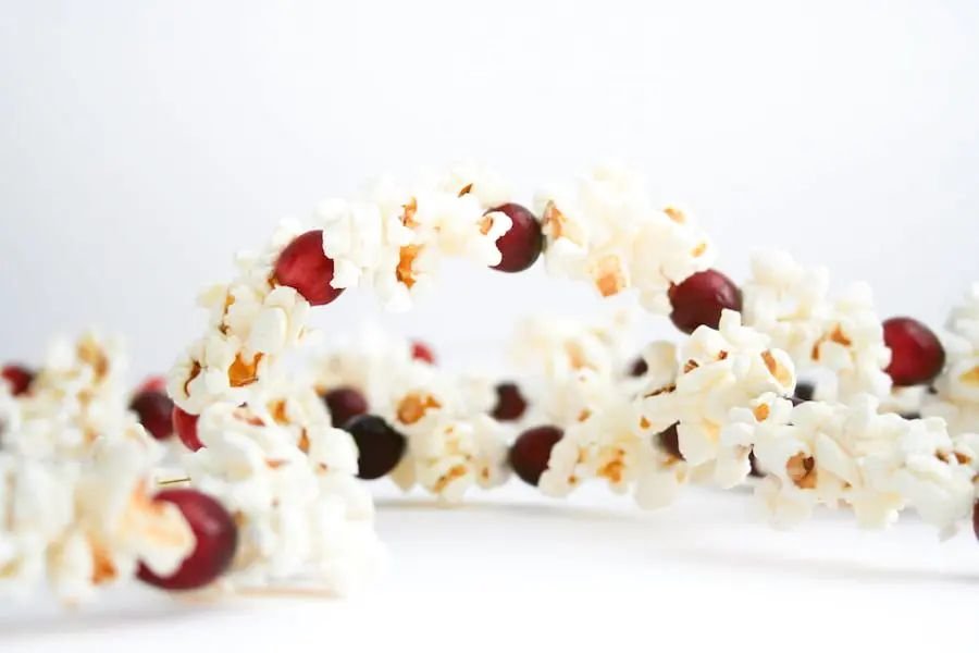 Popcorn Cranberry Garland