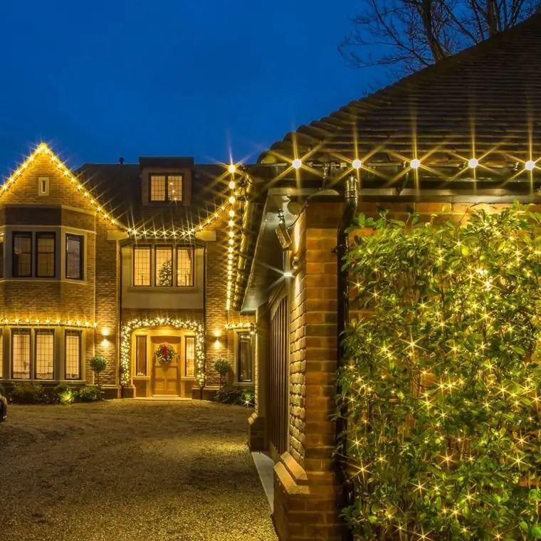 Roofline Christmas Lights