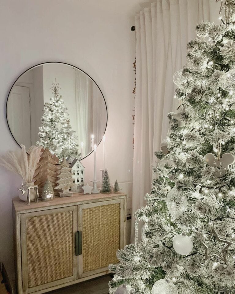 Round Mirror Display