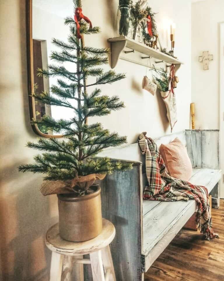 Rustic Bench Display