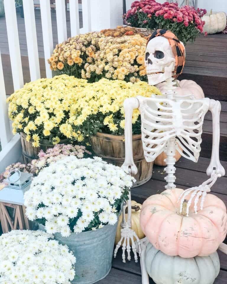 Skeleton and Fall Decorations