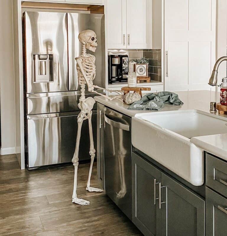 Skeleton by Kitchen Island