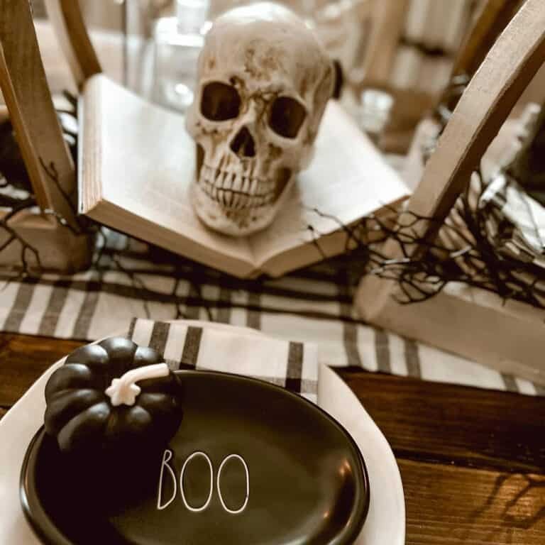 Skull and Book Décor