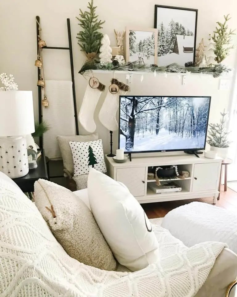 Small Space Shelves