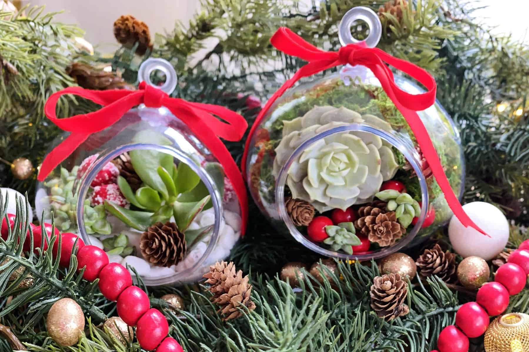 Succulent Christmas Ornament