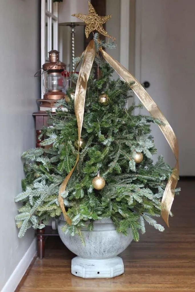 Tomato Cage Tree