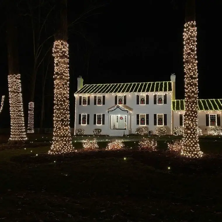 Tree Trunk Lights