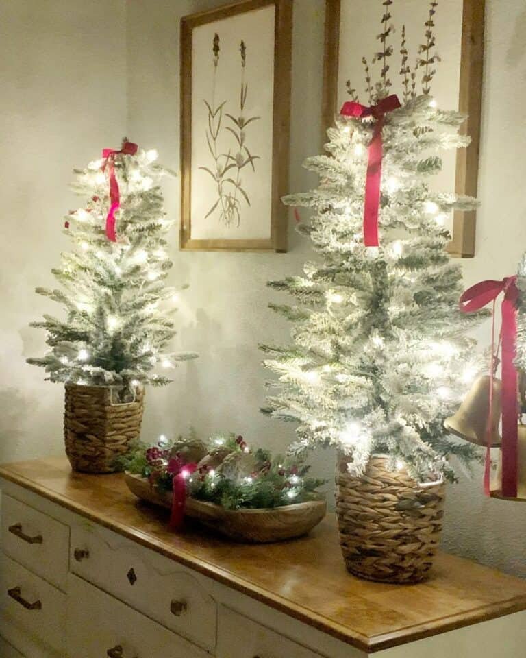 Twinkle Light Display