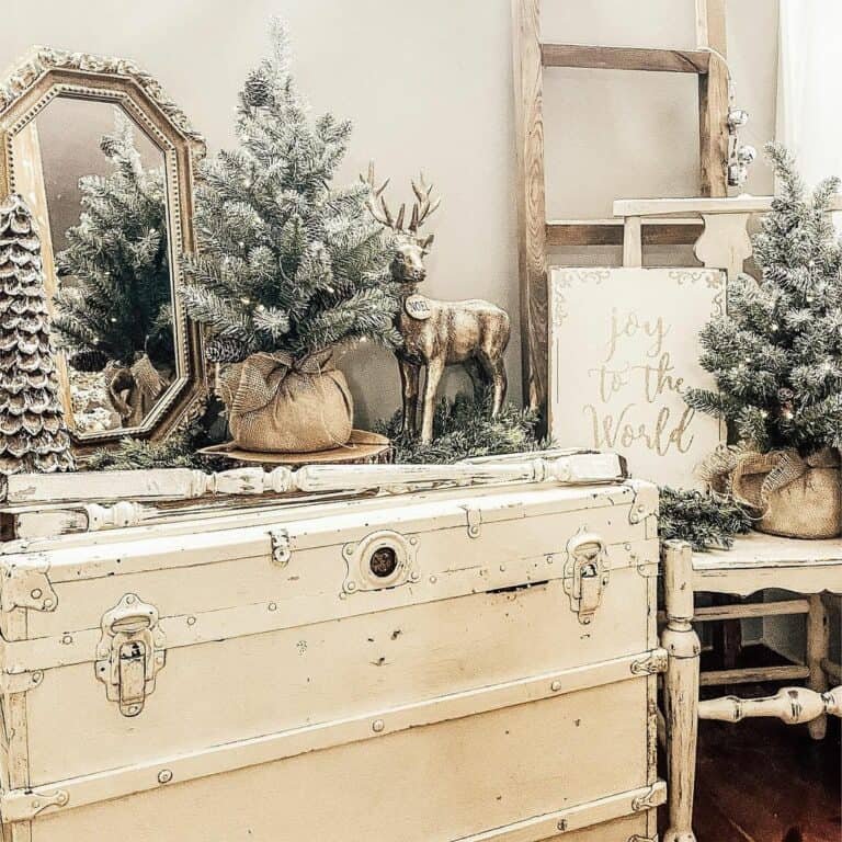 Vintage White Trunk