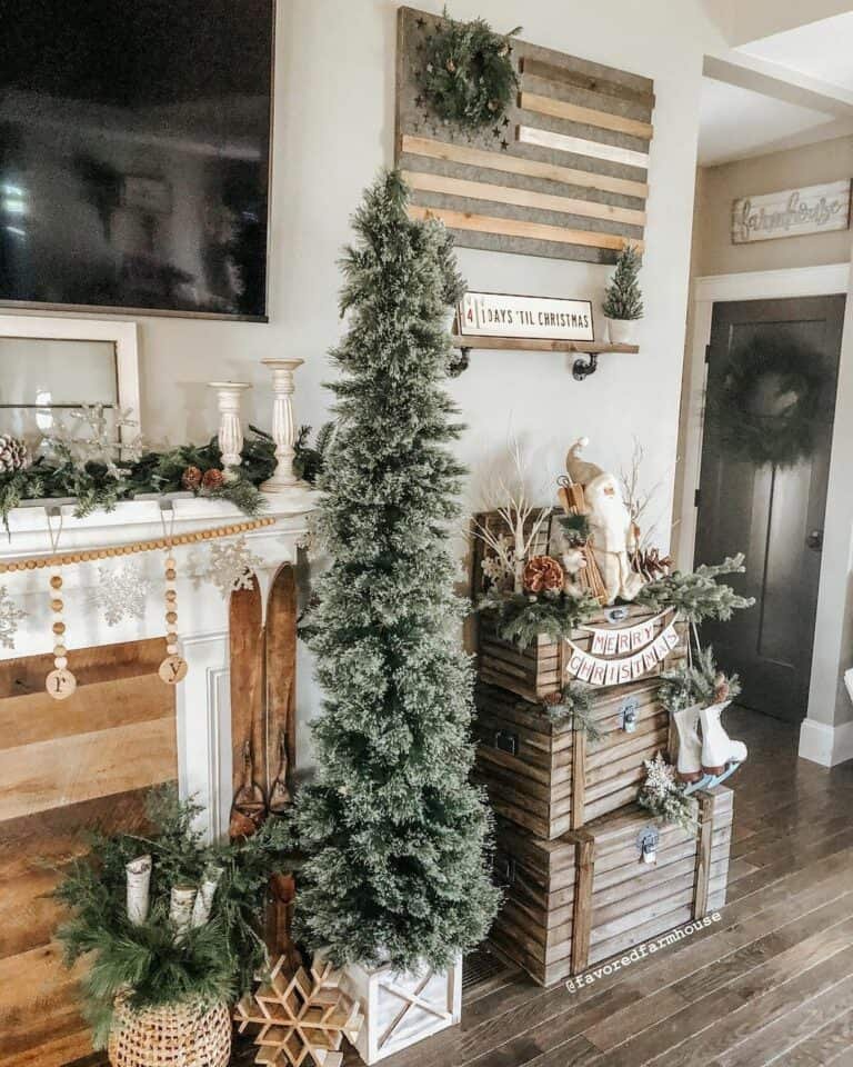 White Box Tree