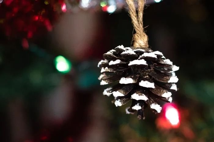 White Pinecone Ornaments