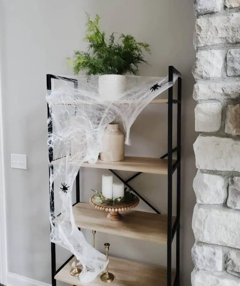 Wood Shelf with Cobwebs