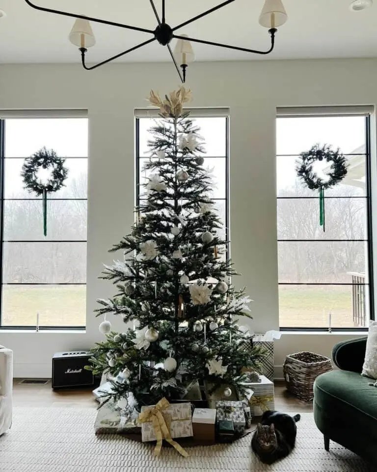 Wreaths and Christmas Tree