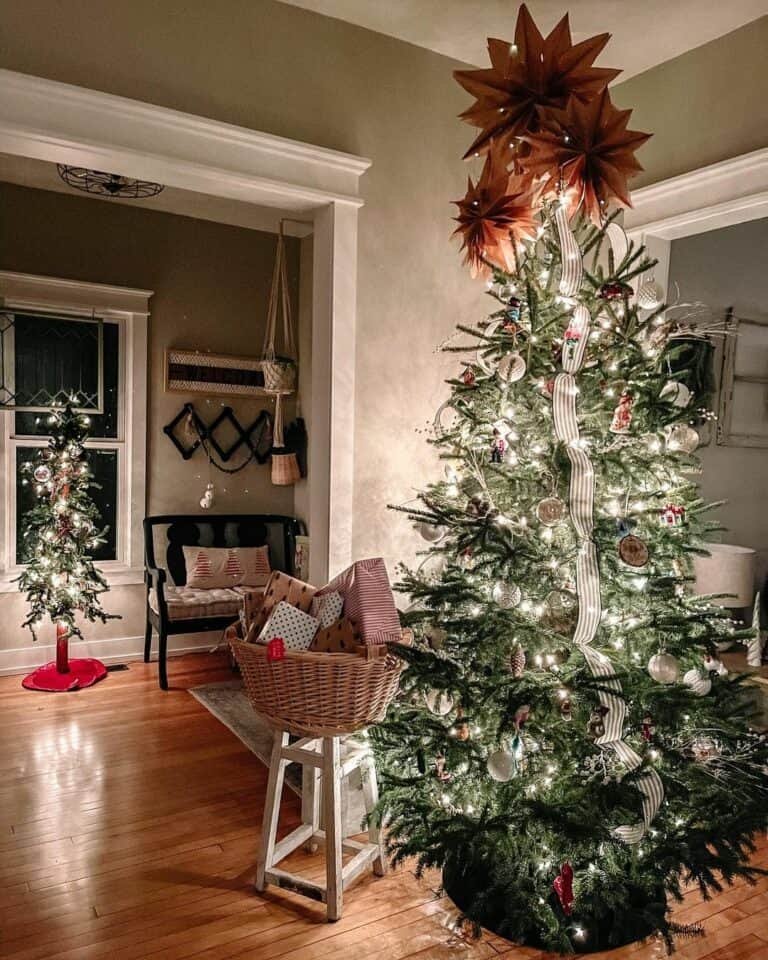 Black Collar Christmas Tree
