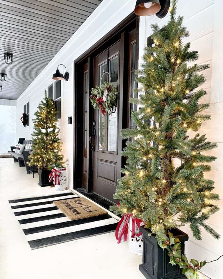 Black Potted Trees