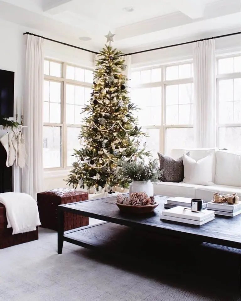Black White Tree