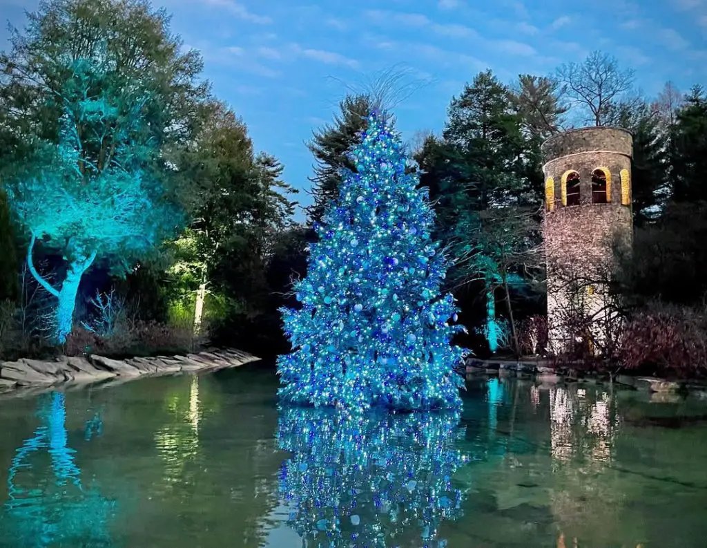Blue Pond Lighting