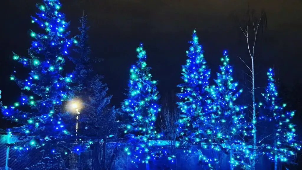 Blue Tree Lights