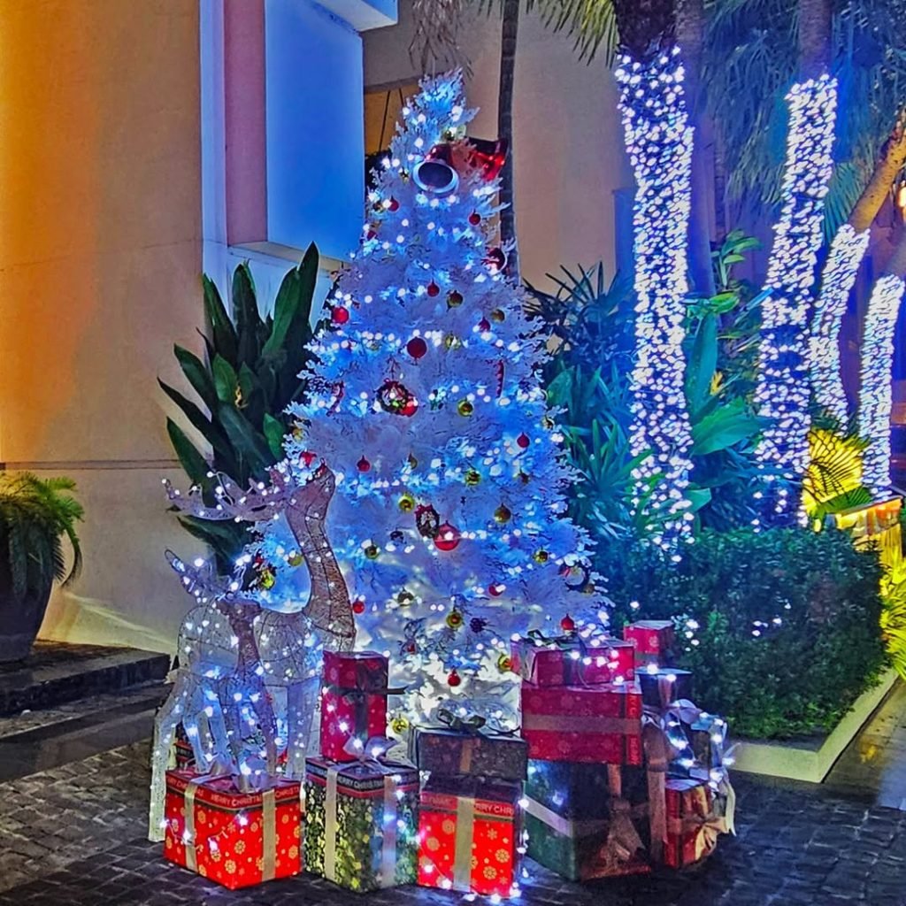 Blue Tropical Tree