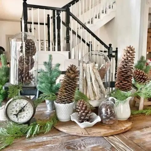 Foraged Pine Cone Display