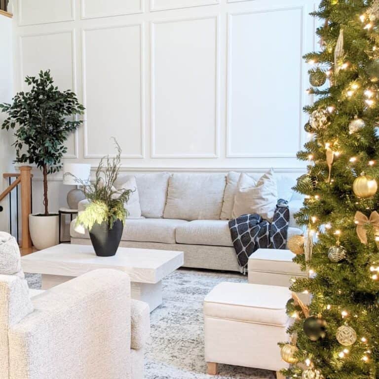 Gold Ornaments Pine Branches