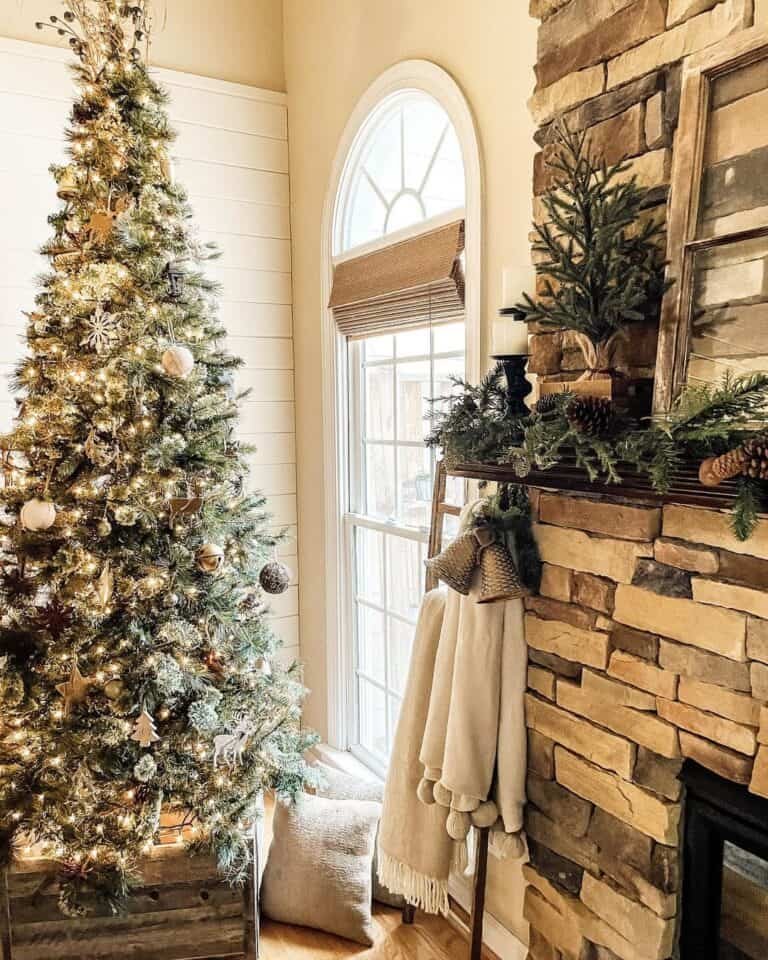 Gold Tree Rustic Room