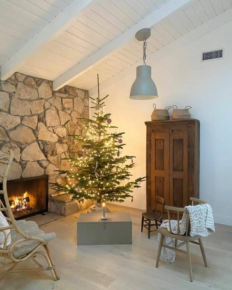 Grey Pine Tree Box