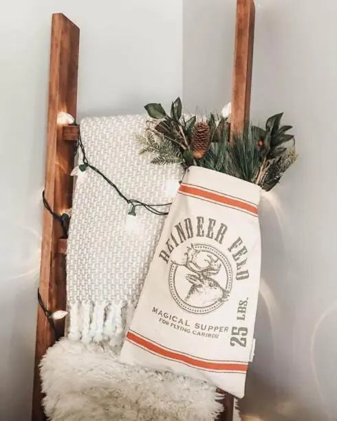 Lighted Christmas Ladders