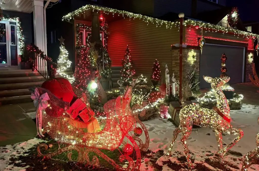 Lighted Wire Reindeer