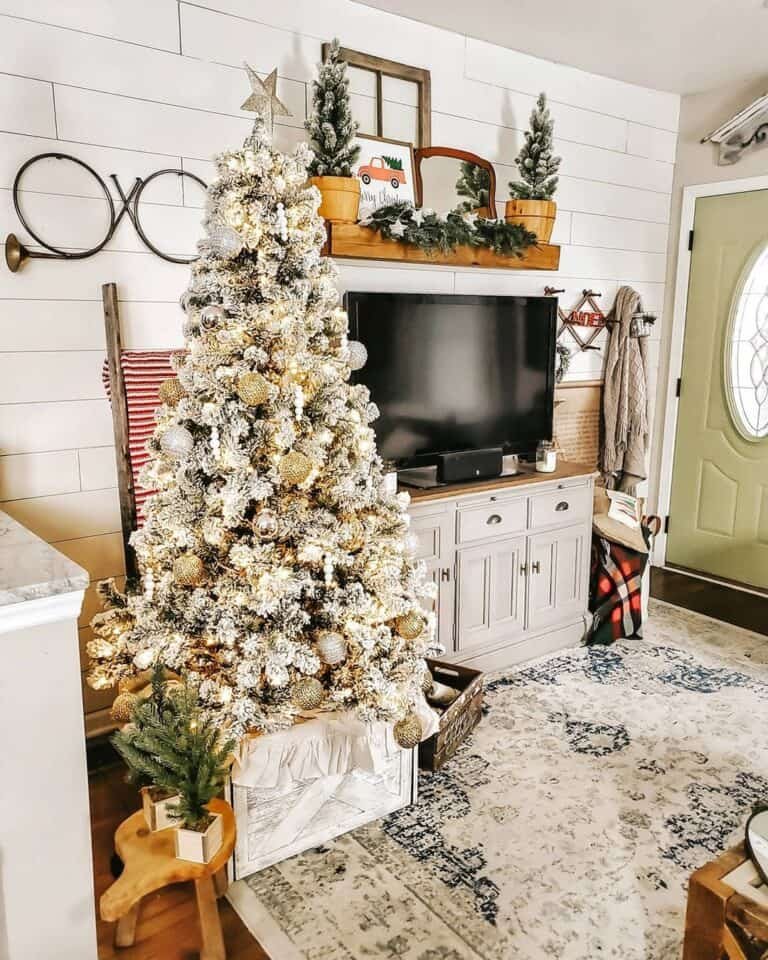 Metallic Ornament Display