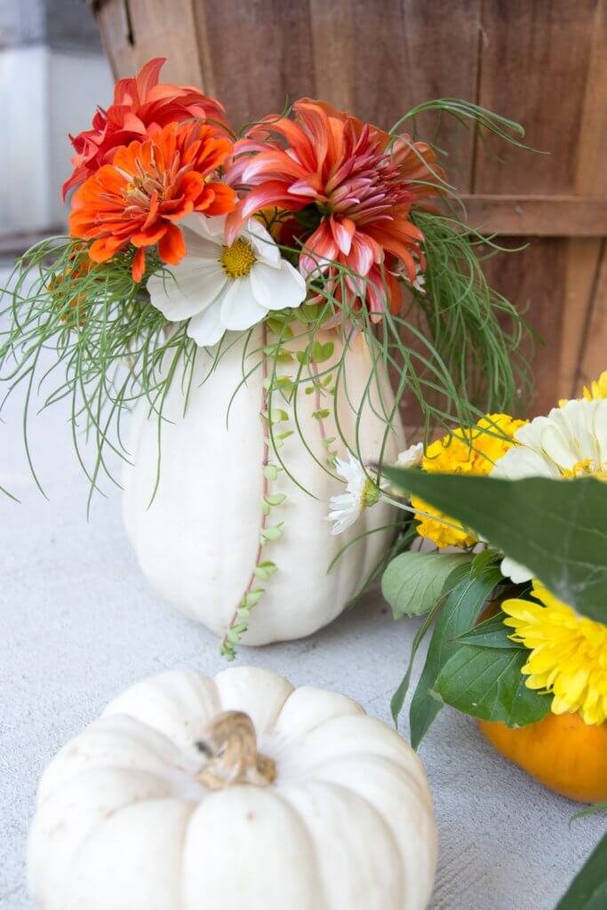 Mini Pumpkin Vases