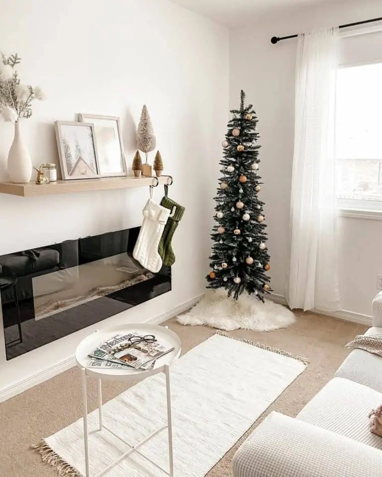 Neutral Built-in Fireplace