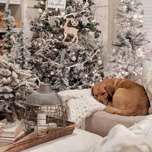 Neutral Color Trees