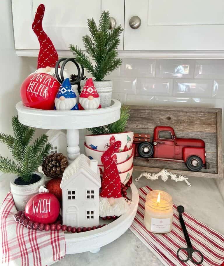 Pine Tree Gnome Display