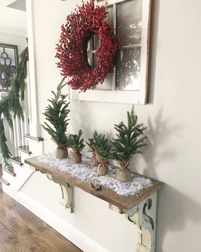 Pine Tree Shelf Display