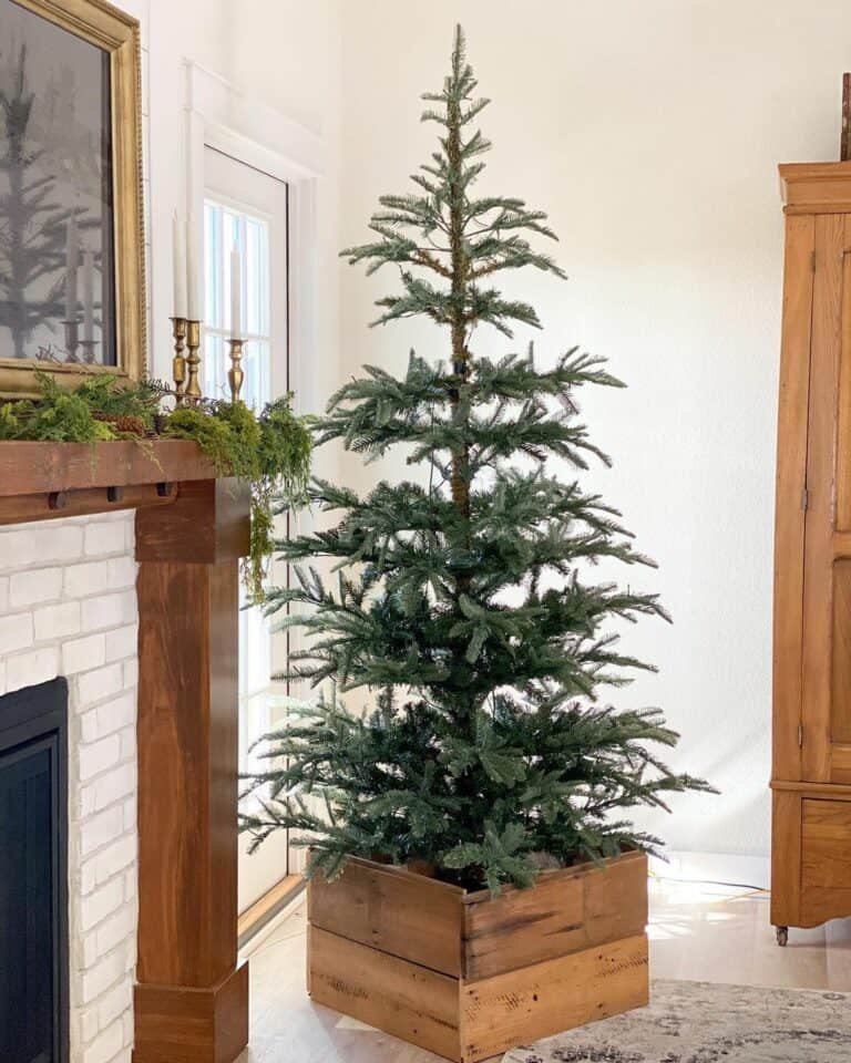 Pine Tree Wooden Stand