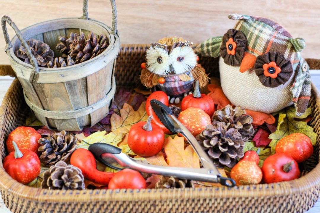 Pinecone Sensory Bin