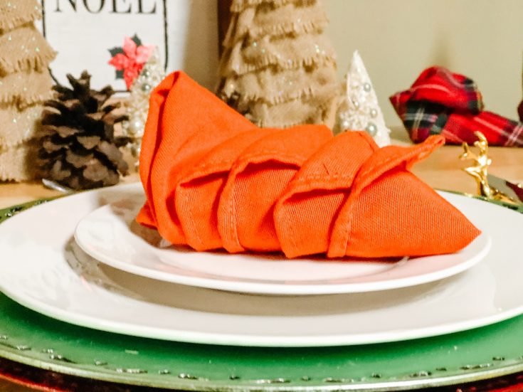 Turkey Napkin Fold