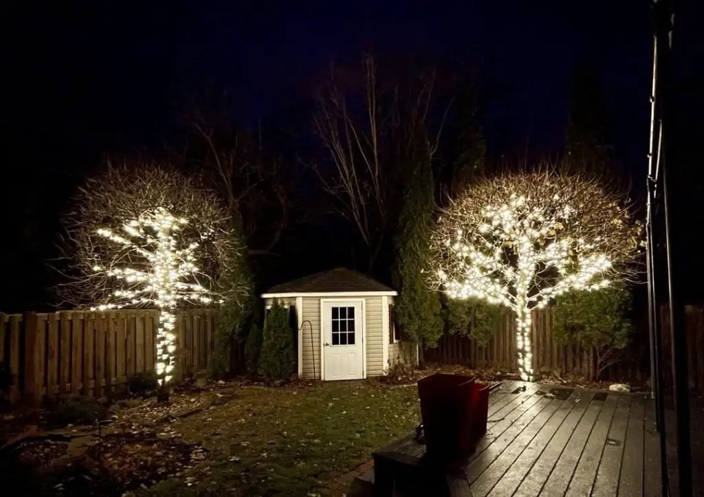 White Light Trees