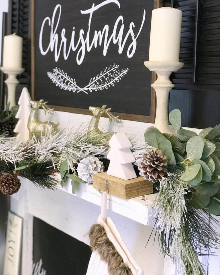 White Pine Tree Holder