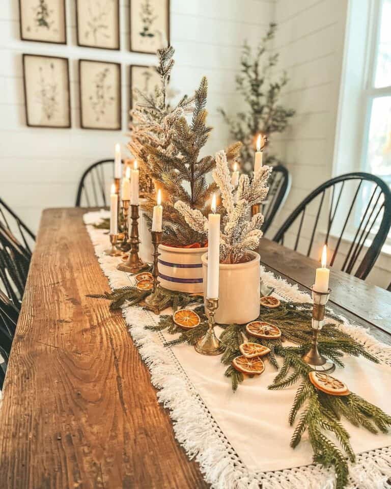 White Runner Pine Oranges
